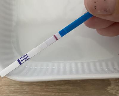 Testování a těhotenský test | Je tam duch? Slabá čárka v testu