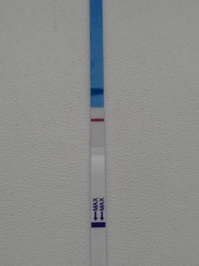 Centra asistované reprodukce | IVF+ET/KET únor-duben 2022