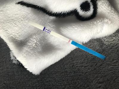 Testování a těhotenský test | Menstruace a TT