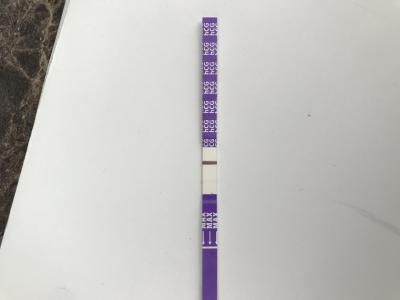 Testování a těhotenský test | Duch týden po menstruaci
