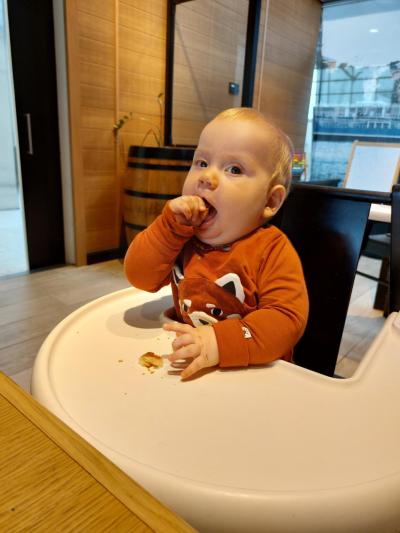 Těhotenství | TP prosinec 2021