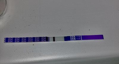 Testování a těhotenský test | Testování přes MS. Testy