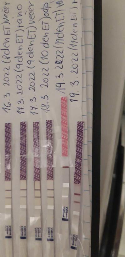 Centra asistované reprodukce | Ivf jaro 2022