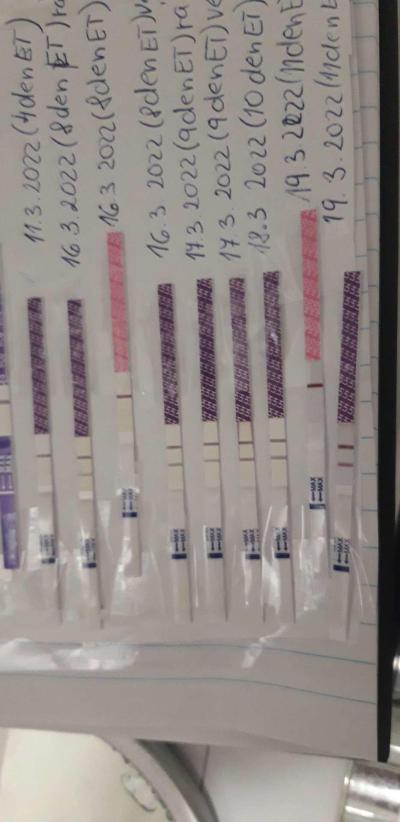 Centra asistované reprodukce | Ivf jaro 2022