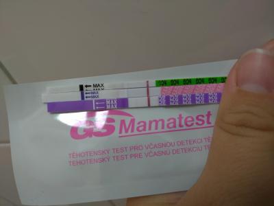 Testování a těhotenský test | Stále pozitivní Mamatest, ostatní TT negativní