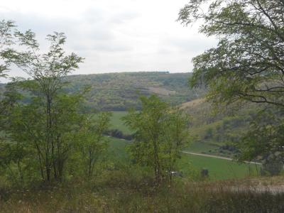 HUSTOPEČE