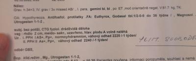 Těhotenství | Vysvětlí mi prosím někdo zprávu?