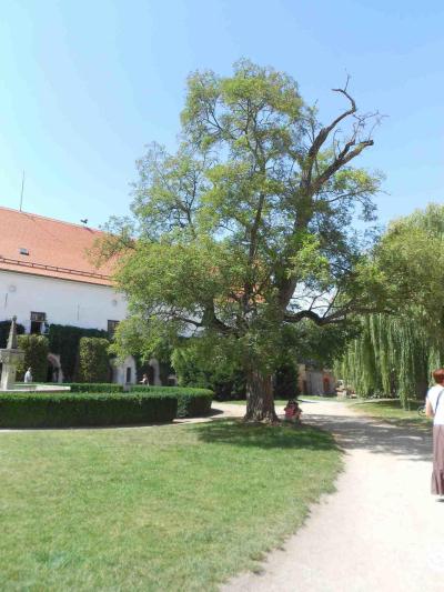 HRAD BÍTOV