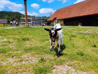 Minizoo Malevil