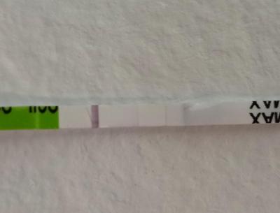 Testování a těhotenský test | Duch na testu týden po MS