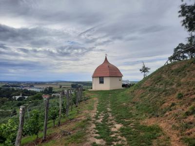 BZENEC