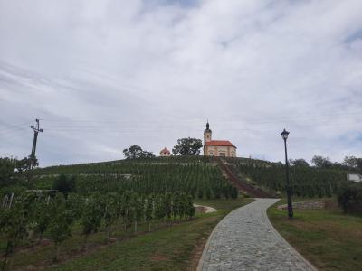 BZENEC