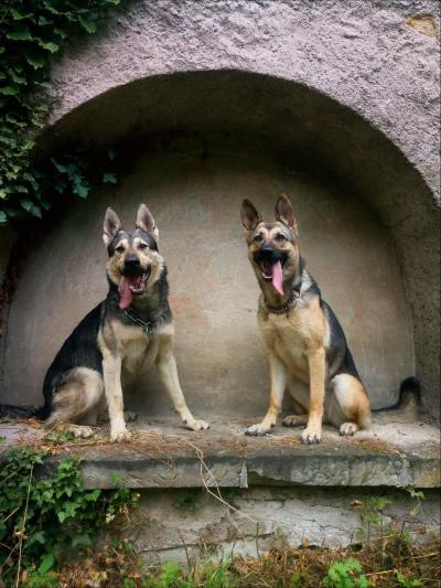 Vše možné | Fotograf živnost