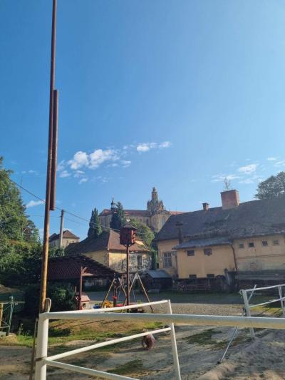 Ponny farm