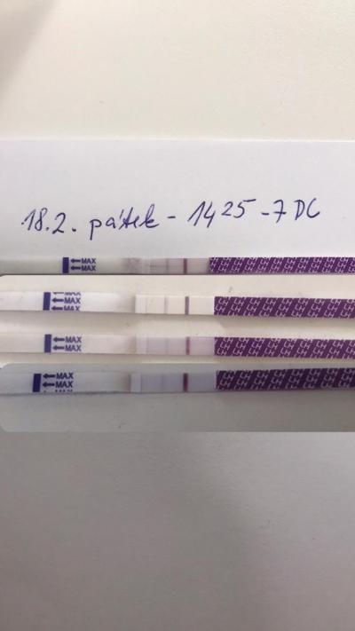 Testování a těhotenský test | Ovulace