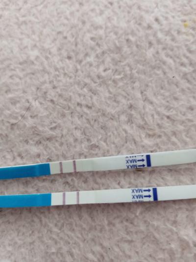 Testování a těhotenský test | ????? Je to možné