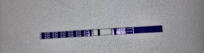 Testování a těhotenský test | Testování přes MS. Testy