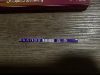 Testování a těhotenský test | Testování listopad 2022