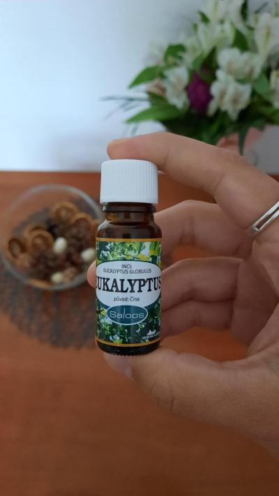 Miminko | Eukalyptus a miminko