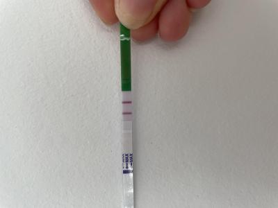 Testování a těhotenský test | Testování listopad 2022