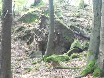 ZUBŠTEJN