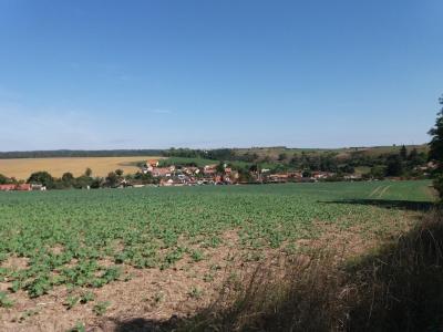JEVIŠOVICE