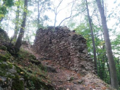 OHEB