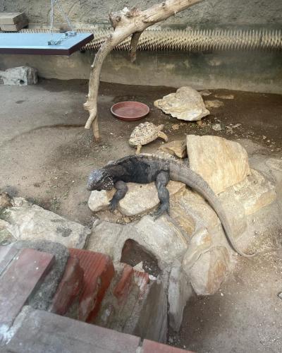 Stanice přírodovědců