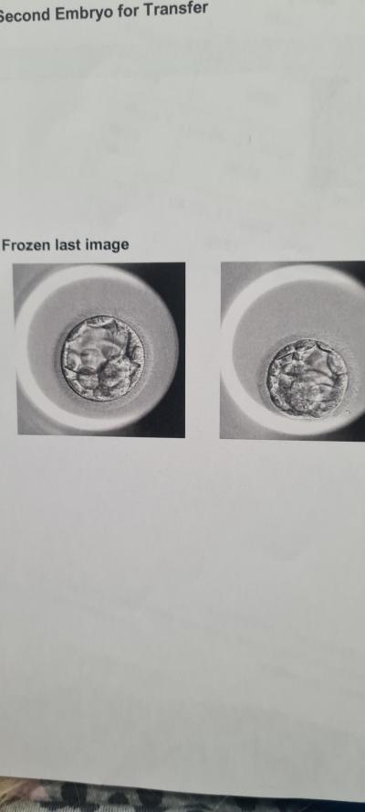 Centra asistované reprodukce | IVF 2022/2023