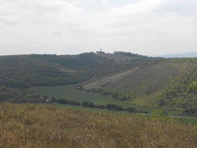 HUSTOPEČE