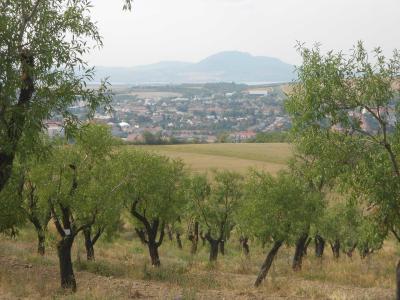 HUSTOPEČE