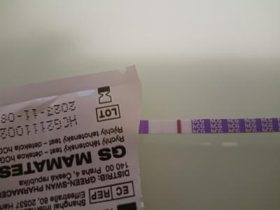 Snažení | Pozitivní test a ovulace