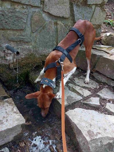 Studánka na Strašné