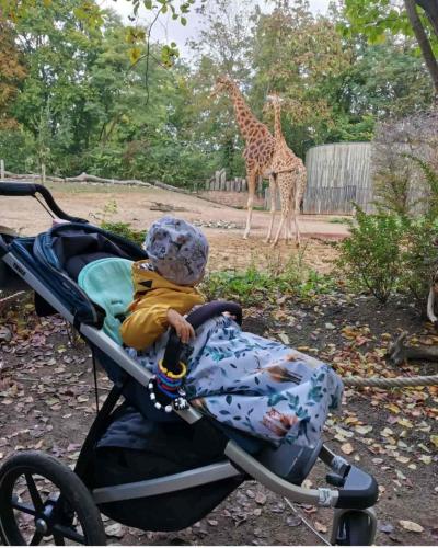 Zoo Dresden