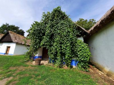 SKANZEN