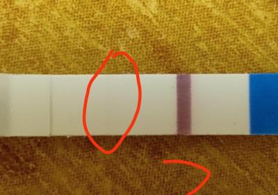 Testování a těhotenský test | Těhotenství? Nebo chyba 3 testů