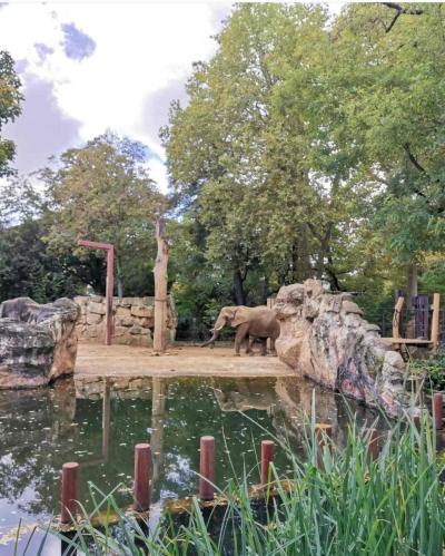 Zoo Dresden