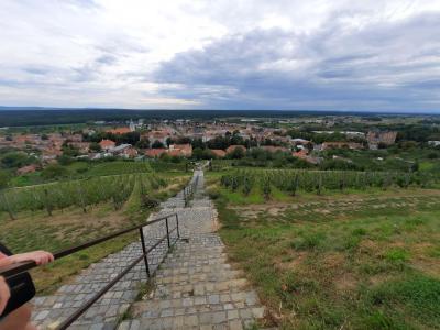 BZENEC