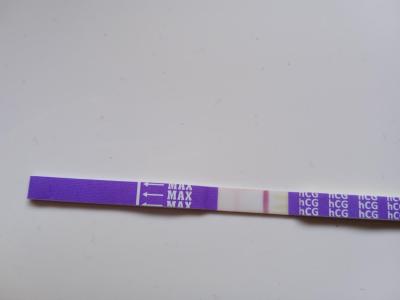 Testování a těhotenský test | Duch na těhotenském testu? Vidíte ho tam taky?