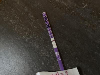 Testování a těhotenský test | Je to duch nebo ryska?
