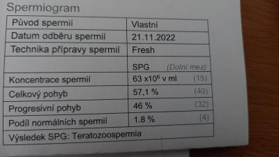 Snažení | Pro muže - porucha plodnosti