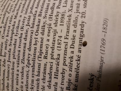 Domácnost | Co to je za brouka?