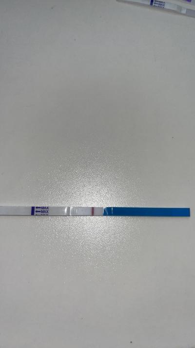 Testování a těhotenský test | Je to duch? Nebo ho vidim jen já?