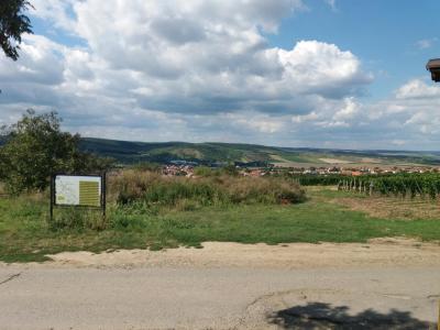 KOBYLÍ