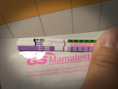 Testování a těhotenský test | Stále pozitivní Mamatest, ostatní TT negativní