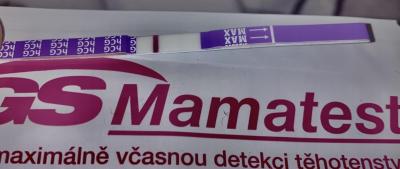 Testování a těhotenský test | Testování přes MS testy