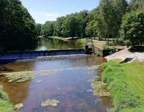 Květiny a zahrada | Fotky míst, která máte rádi