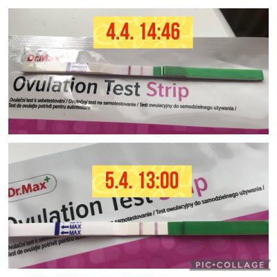 Těhotenství | Ovulační test-nejasny