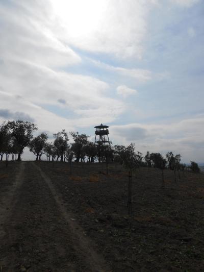 HUSTOPEČE