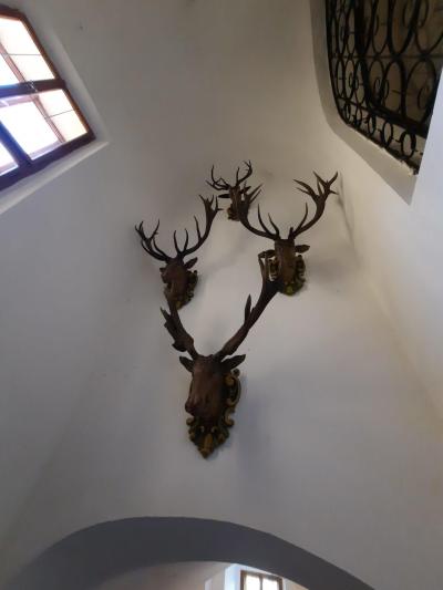 KÁMEN
